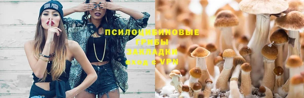 прущая мука Горнозаводск