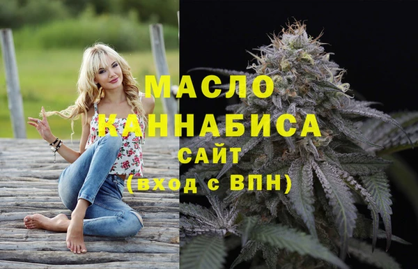 скорость Вяземский