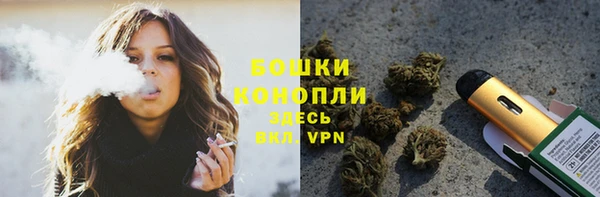 прущие грибы Горно-Алтайск