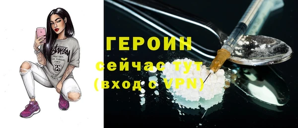 прущие грибы Горно-Алтайск