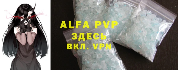 прущие грибы Горно-Алтайск