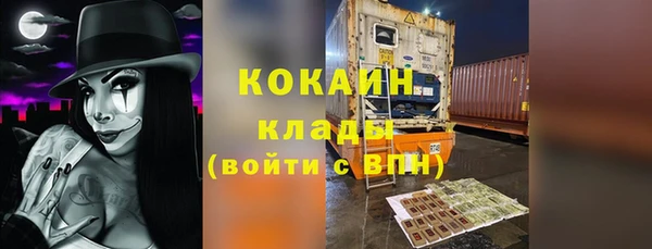 прущие грибы Горно-Алтайск