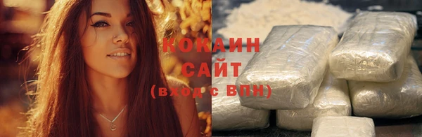 прущие грибы Горно-Алтайск