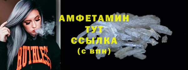 прущие грибы Горно-Алтайск