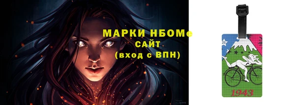 прущие грибы Горно-Алтайск
