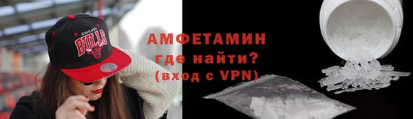 прущие грибы Горно-Алтайск