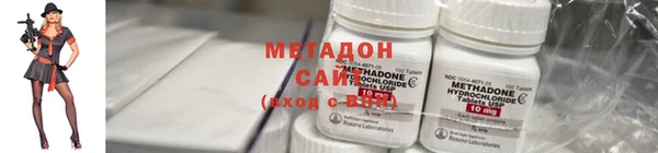 прущие грибы Горно-Алтайск