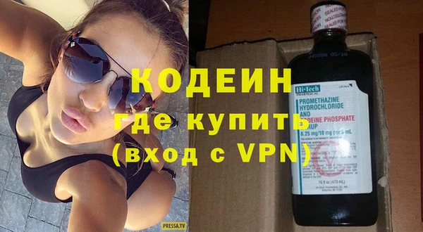 прущие грибы Горно-Алтайск