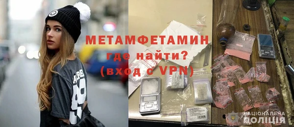 прущие грибы Горно-Алтайск