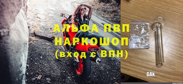 прущие грибы Горно-Алтайск